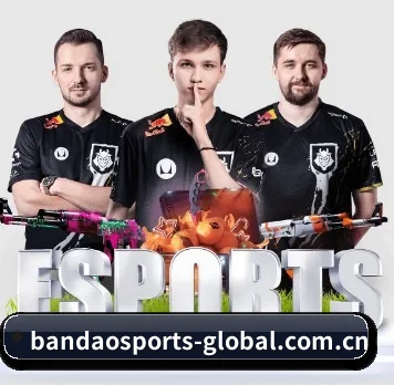 半岛体育 APP | BandaoSports